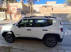 جيب رينيجيد